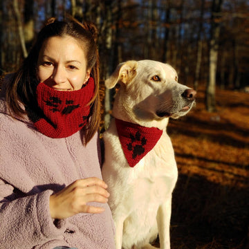 Matching cowl and dog bandana