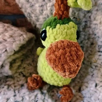 Avocadodo Dodo Bird