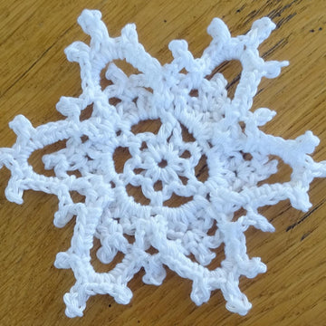 2019 Snowflake