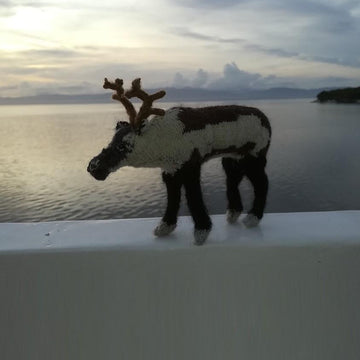Reindeer