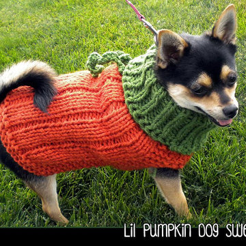 Lil Pumpkin Dog Sweater