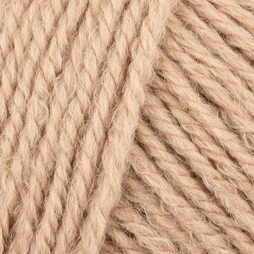 Camel (002)