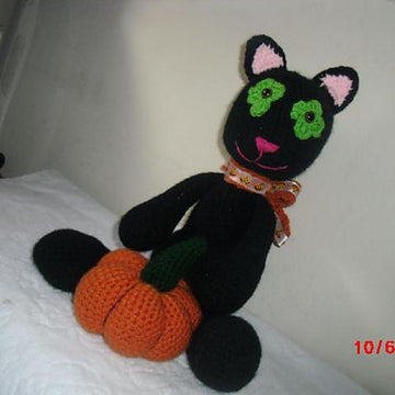 Midnight the Halloween Cat