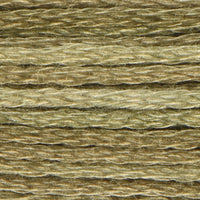Lichen Moss (VA121901)