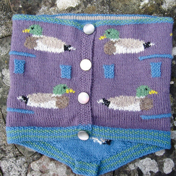 Mallards convertible cowl
