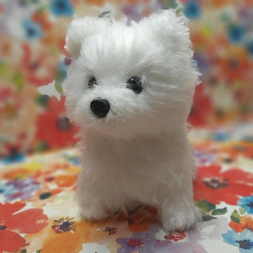Realistic Dog Spitz