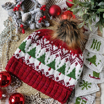 Family Christmas Hat