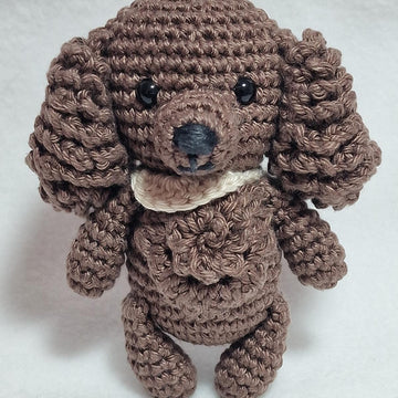 Spaniel Dog