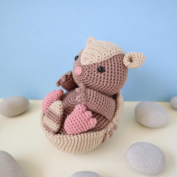 Arlo the Armadillo Amigurumi