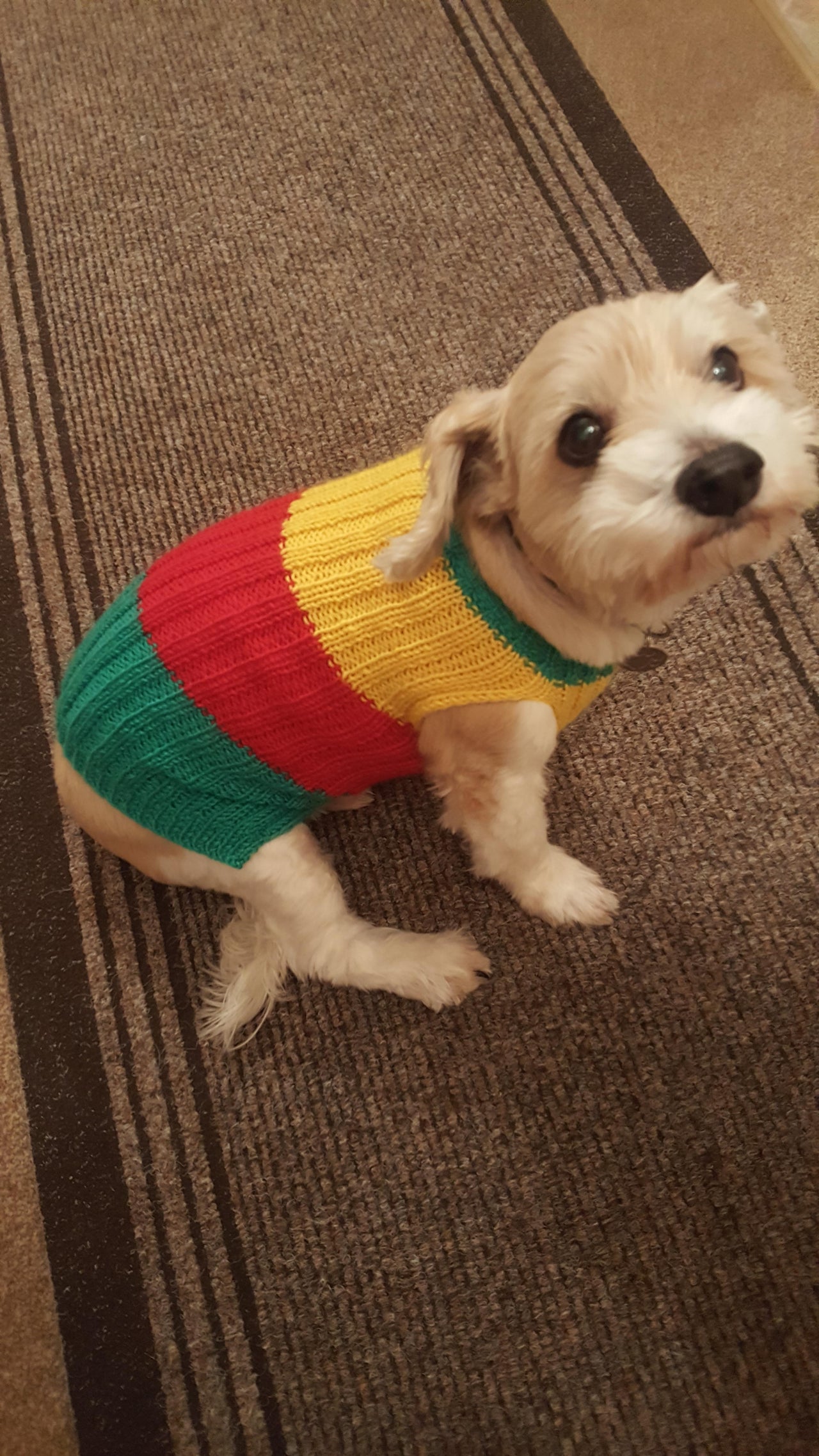 Bailey's Jazzy Jacket