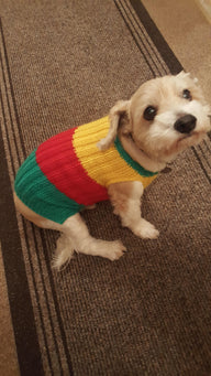 Bailey's Jazzy Jacket