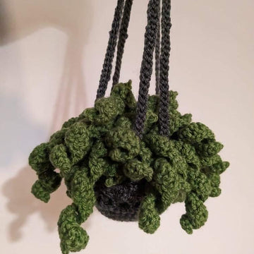 Hanging spiritual plant