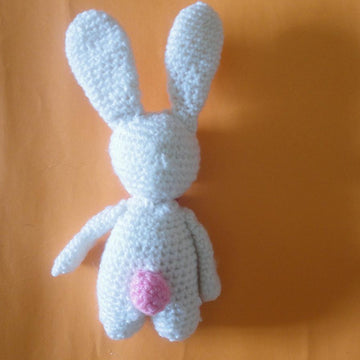 Rabbit Marco