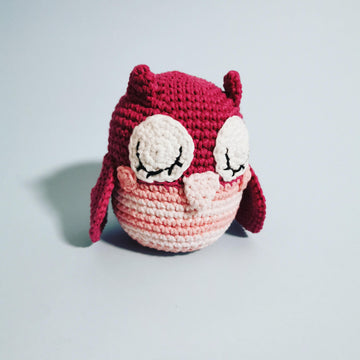 Ozzi the Owl