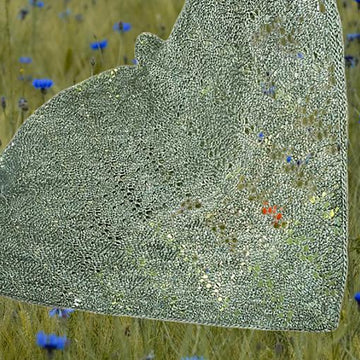 Bridgerton Lace Shawl