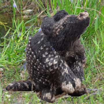 Armadillo