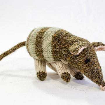 Australian Bandicoot