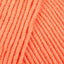 Limited Edition Coral (185)
