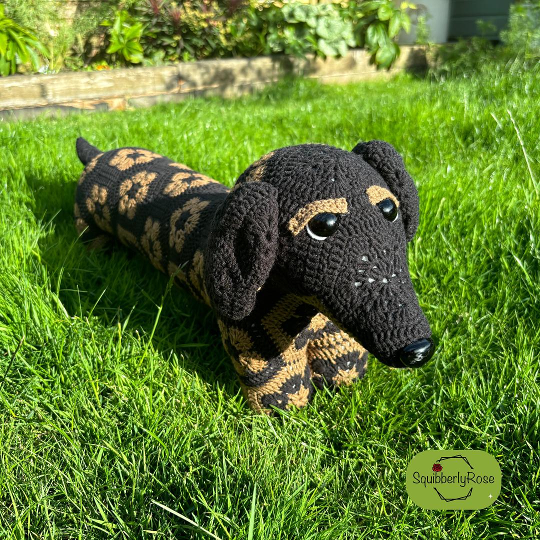 Desmond the African Flower Dachshund Dog