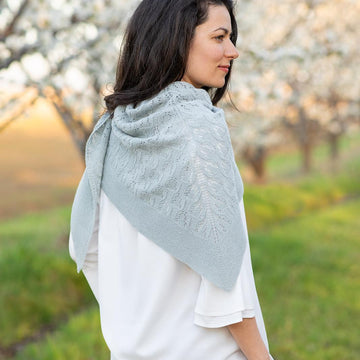 Srebrina Shawl