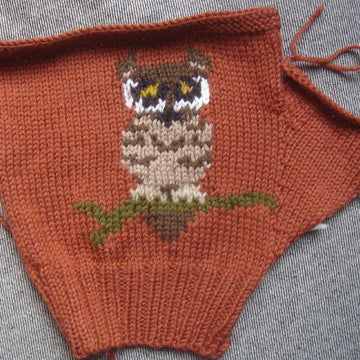 Tiny Owl fingerless gloves/mitts