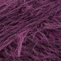 Crocus (287491)