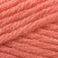 Coral (421)