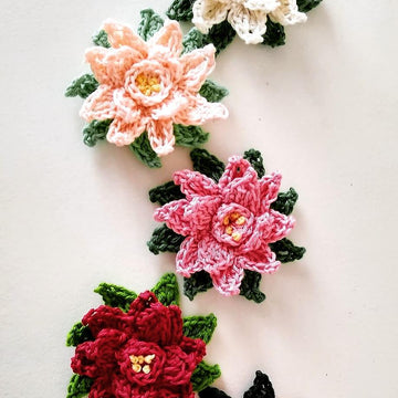 Poinsettia (in the round)