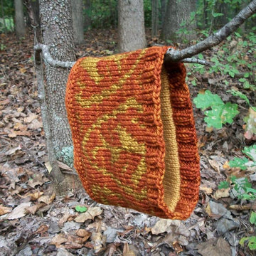 Flame Nettle