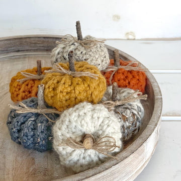 Mini Ribbed Pumpkins 086