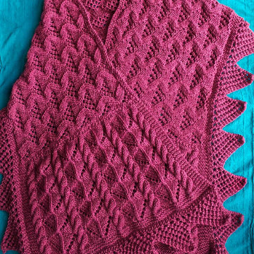 Surabhi Shawl