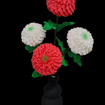 Ping Pong Chrysanthemum flowers