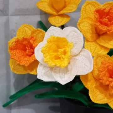 Crochet Daffodils flower