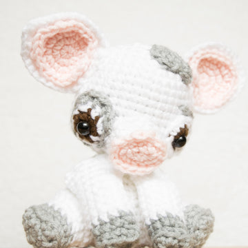 Sweet Lil' Pig