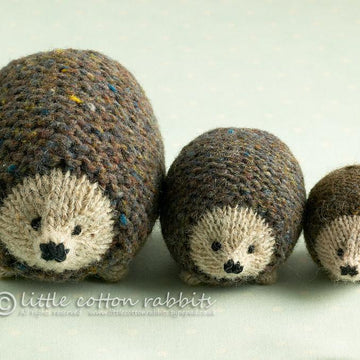 Little oddment hedgehog