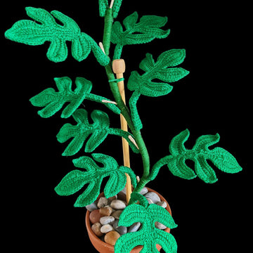 Crochet Monstera Ginny plant