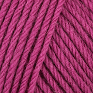 Raspberry (128)