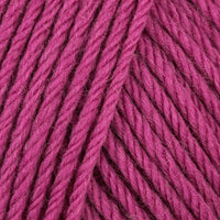 Raspberry (128)