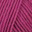 Raspberry (128)