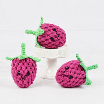 Raspberry Fruit