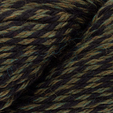 Lichen twist (1089)