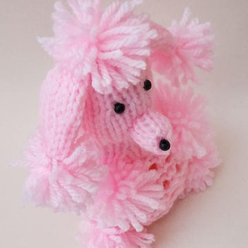 Poodle Chocolate Orange Cosy