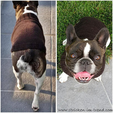 Knitting Pattern Dog Sweater LILO | French Bulldog Jumper | Pet Knitwear PDF