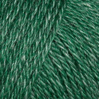 Balsam Fir (4554)
