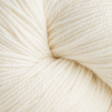 Dream in Color Smooshy