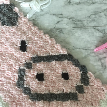Rocky the Pig C2C Graphgan Square