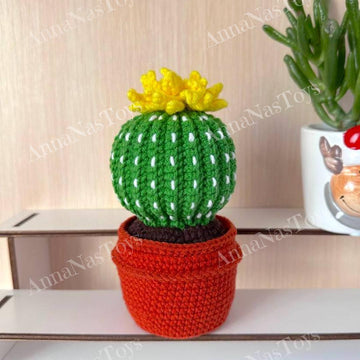 Cactus in a pot_5