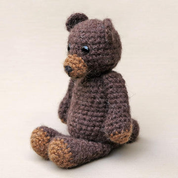 Teddy the bear