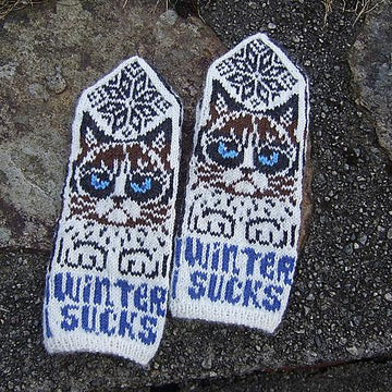 Cattitude