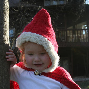 Holiday Hoodie
